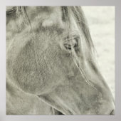 BAY BEAUTY 24x24 Poster (Voorkant)