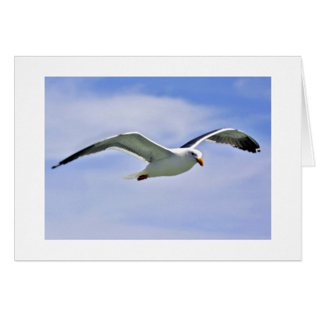 Bay Bird (Voorkant Horizontaal)