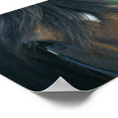 Bay Closeup Poster (Hoek)