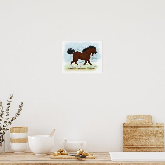 Bay Clydesdale Draft Horse Anatomee Poster (Keuken)