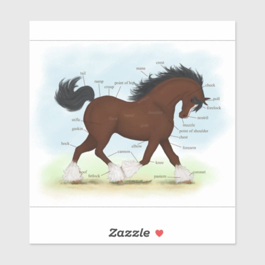 Bay Clydesdale Paard Anatomie Grafiek Educatief Sticker (Vel)