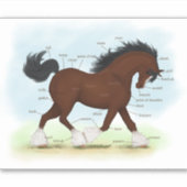 Bay Clydesdale Paard Anatomie Grafiek Educatief Sticker (Voorkant)