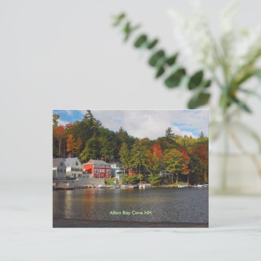 Bay-cove, Alton Bay Cove NH Briefkaart (Staand voorkant)
