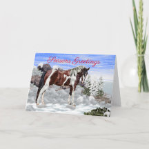 Bay en witte Tobiano Paint Horse in de sneeuw
