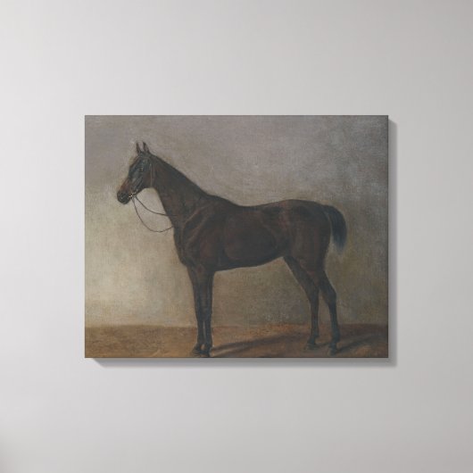 Bay Geleiding Paard (door Albrecht Adam) Canvas Afdruk (Voorkant)
