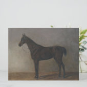 Bay Geleiding Paard (door Albrecht Adam) Kaart (Staand voorkant)