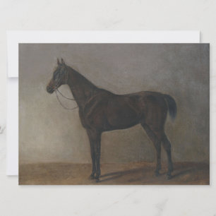 Bay Geleiding Paard (door Albrecht Adam) Kaart