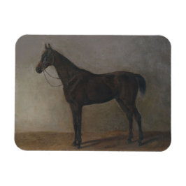Bay Geleiding Paard (door Albrecht Adam) Magneet