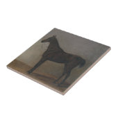 Bay Geleiding Paard (door Albrecht Adam) Tegeltje (Zijkant)