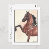 Bay Harness Pony 1 Briefkaart (Voorkant / Achterkant)