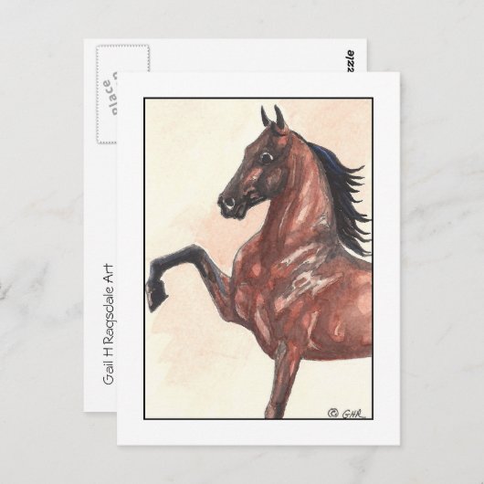 Bay Harness Pony 1 Briefkaart (Voorkant / Achterkant)