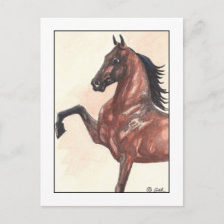 Bay Harness Pony 1 Briefkaart