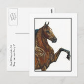 Bay Harness Pony 3 Briefkaart (Voorkant / Achterkant)
