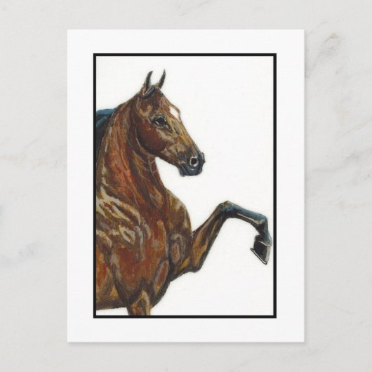 Bay Harness Pony 3 Briefkaart (Voorkant)