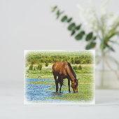 Bay Horse Briefkaart (Staand voorkant)