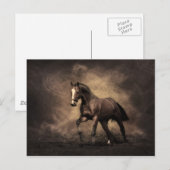 Bay Horse Briefkaart (Voorkant / Achterkant)