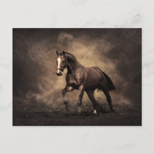 Bay Horse Briefkaart (Voorkant)