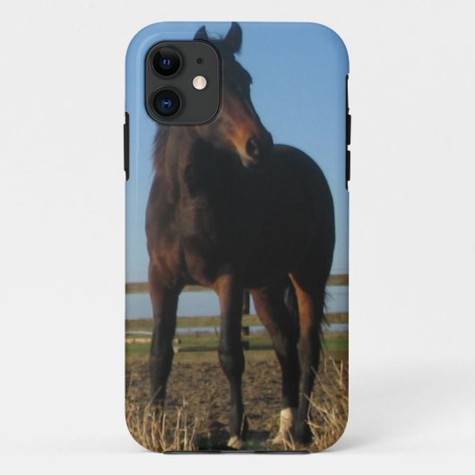 Bay Horse Case-Mate iPhone Case (Achterkant)