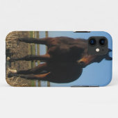 Bay Horse Case-Mate iPhone Case (Achterkant (horizontaal))