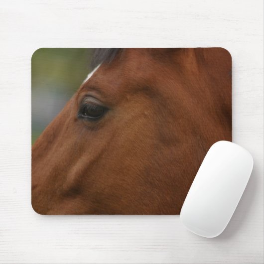 Bay Horse Closeup Muismat (Met muis)