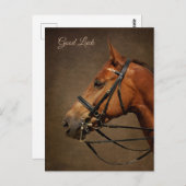 Bay Horse en Bridle Succes Briefkaart (Voorkant / Achterkant)