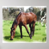 Bay Horse Green Pick Poster (Voorkant)