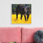 Bay Horse in een Gebied van Gele Bloemen Canvas Afdruk (Insitu (Woonkamer))