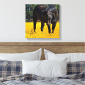 Bay Horse in een Gebied van Gele Bloemen Canvas Afdruk (Insitu (Slaapkamer))