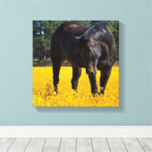Bay Horse in een Gebied van Gele Bloemen Canvas Afdruk (Insitu (Houten vloer))