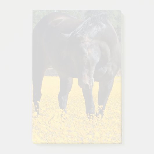 Bay Horse in een Gebied van Gele Bloemen Post-it® Notes (Voorkant)