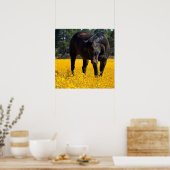 Bay Horse in een Gebied van Gele Bloemen Poster (Keuken)