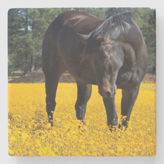 Bay Horse in een Gebied van Gele Bloemen Stenen Onderzetter (Voorkant)