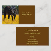 Bay Horse in een Gebied van Gele Bloemen Visitekaartje (Voorkant / Achterkant)