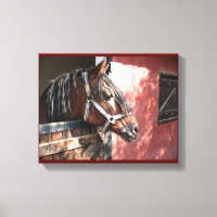 Bay Horse in een onbuigzame zonsondergang