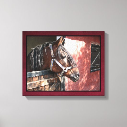  Bay Horse in een onbuigzame zonsondergang Canvas Afdruk (Voorkant)