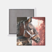 Bay Horse in een onbuigzame zonsondergang Magneet (Voorkant / Achterkant)