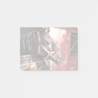 Bay Horse in een onbuigzame zonsondergang