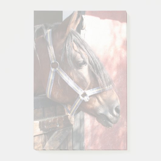  Bay Horse in een onbuigzame zonsondergang Post-it® Notes (Voorkant)