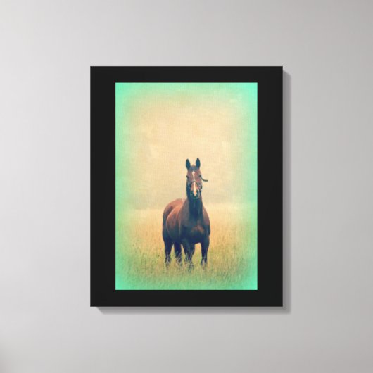 Bay Horse in een veld Canvas Afdruk (Voorkant)