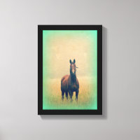 Bay Horse in een veld