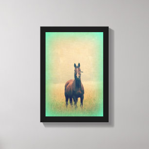 Bay Horse in een veld Canvas Afdruk