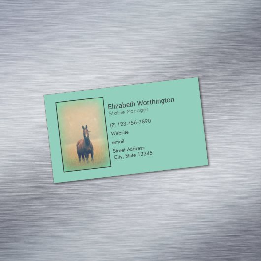 Bay Horse in een veld Magnetisch Visitekaartje (Voorbeeld)
