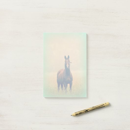 Bay Horse in een veld Post-it® Notes (Op bureau)