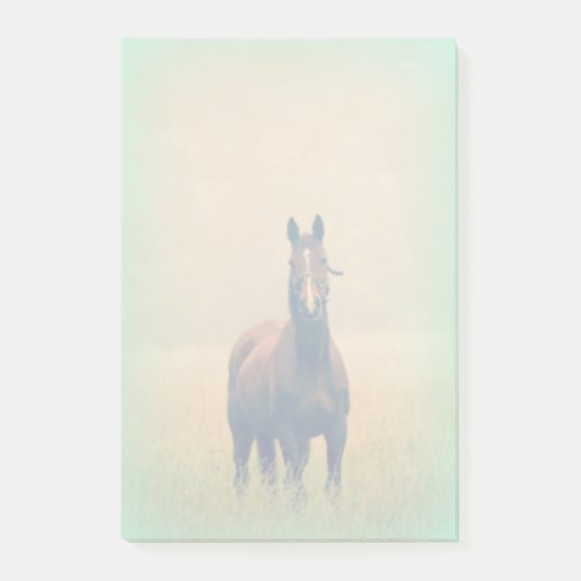 Bay Horse in een veld Post-it® Notes (Voorkant)
