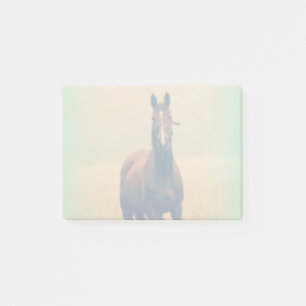 Bay Horse in een veld Post-it® Notes