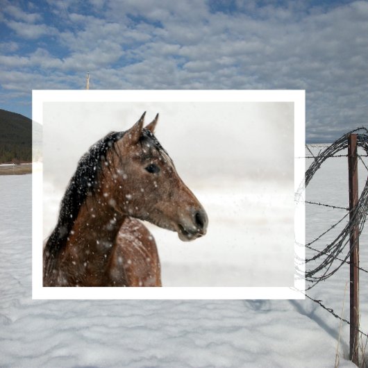 Bay Horse in Gently Falling Snow Briefkaart