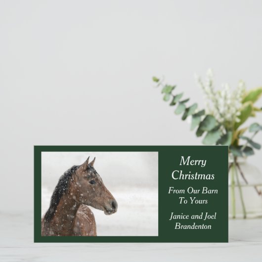 Bay Horse in Gently Falling Snow Feestdagenkaart (Staand voorkant)