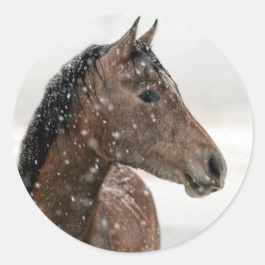 Bay Horse in Gently Falling Snow Ronde Sticker (Voorkant)