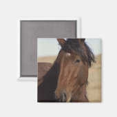 Bay Horse in Wind Magneet (Voorkant / Achterkant)