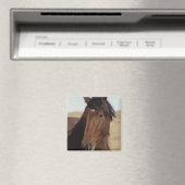 Bay Horse in Wind Magneet (Insitu (Vaatwasser))